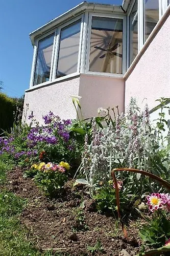 Bed & Breakfast Glen Na Smole Wicklow